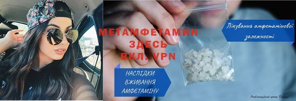 прущие грибы Осташков