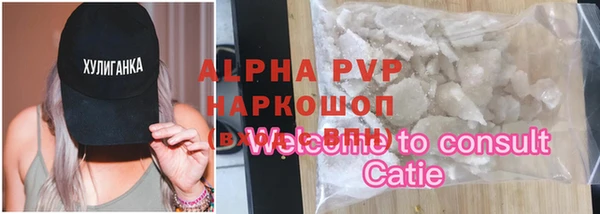 индика Осинники