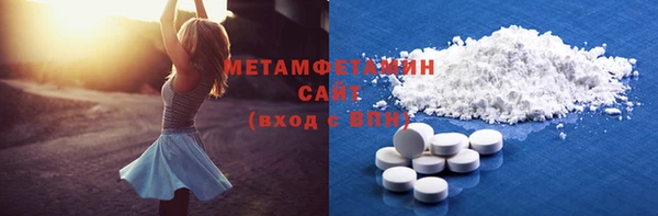 индика Осинники