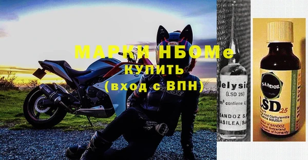 индика Осинники
