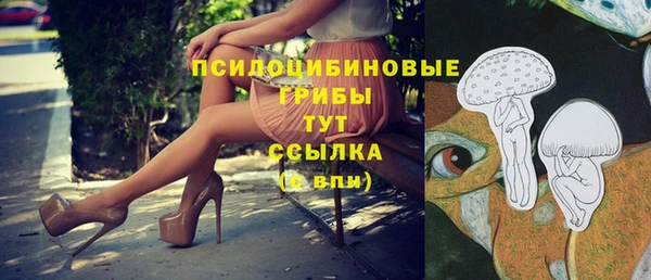 альфа пвп Няндома