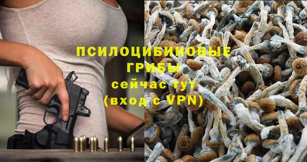 гашиш Нязепетровск
