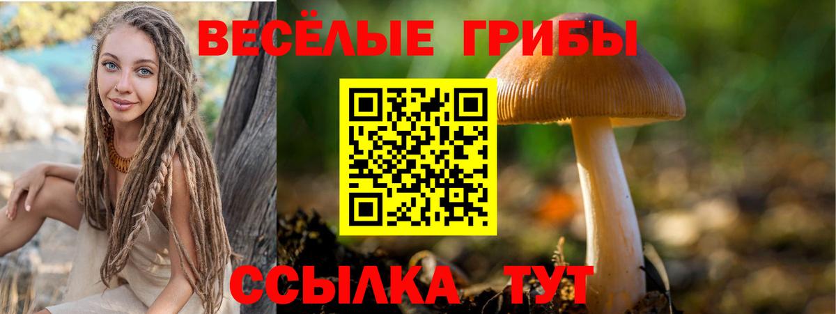 Псилоцибиновые грибы Magic Shrooms Печора