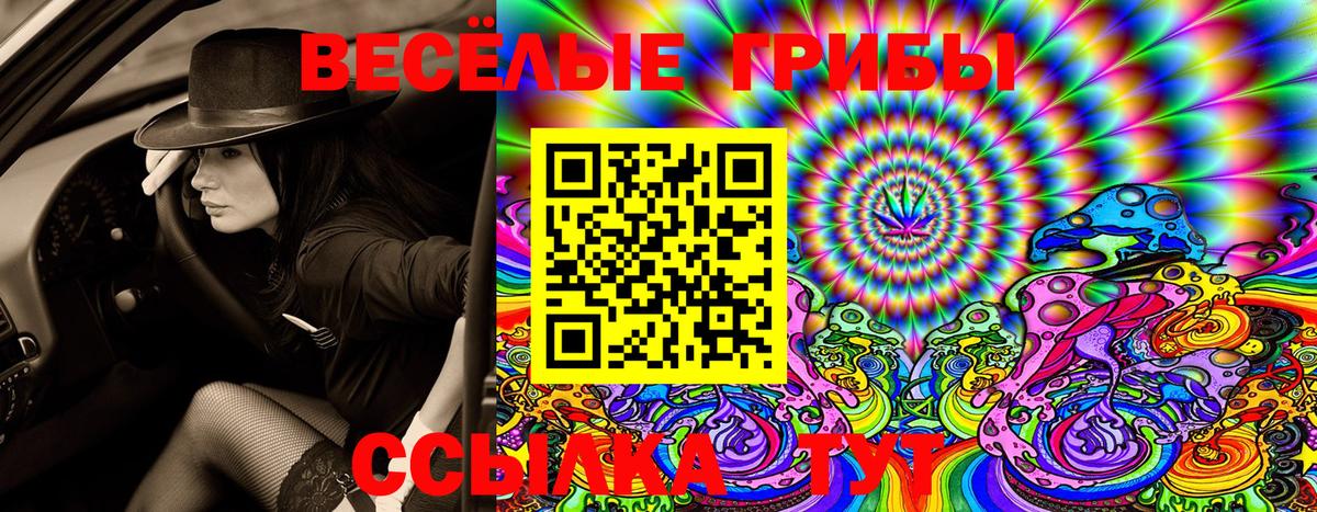 Галлюциногенные грибы ЛСД  Псилоцибиновые грибы Psilocybe  Вход с VPN  Печора 